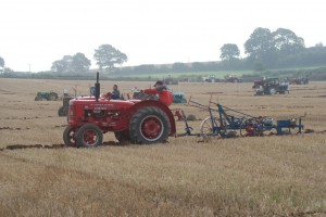 Killerton Limousin Ploughing Match