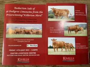 Killerton bulls for sale Kivells Catalogue